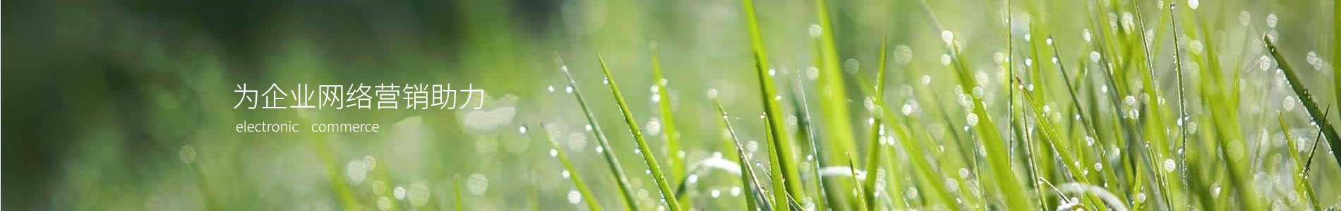 ̩񻷱Ƽ޹˾